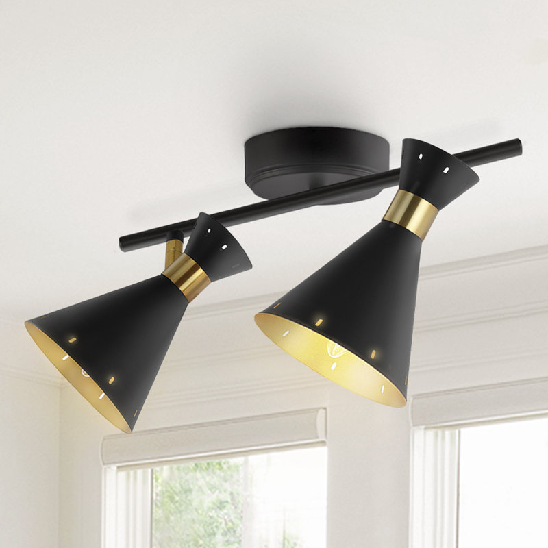 Mercer41 Jacobien 18.25 2 Light Iron Retro Contemporary LED Track Light Black Gold Wayfair